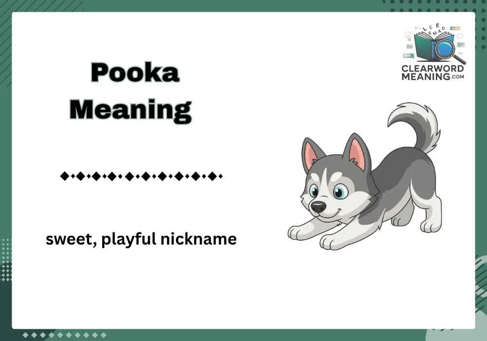 Pooka Meaning
