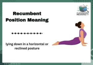 Recumbent Position Meaning