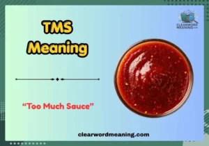 TMS Meaning