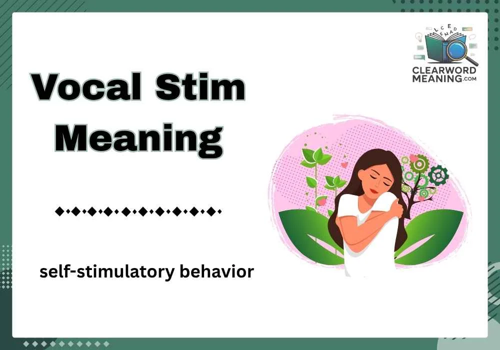 Vocal Stim Meaning